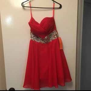 Homecoming/prom dress